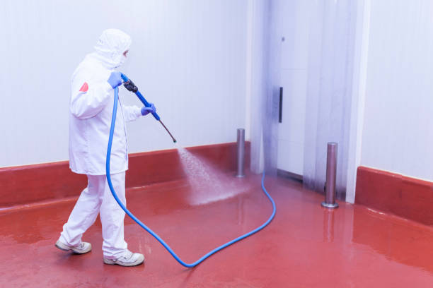 Best Playground Equipment Cleaning  in , CA